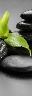 Vidiniai užtemdantys roletai Orchidėja ant akmenų
