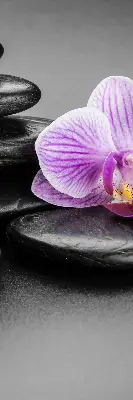 Vidiniai užtemdantys roletai Orchidėja ant akmenų