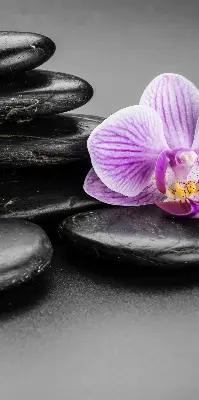 Vidiniai užtemdantys roletai Orchidėja ant akmenų