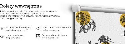 Vidiniai užtemdantys roletai Vaisiai ir geltoni apskritimai