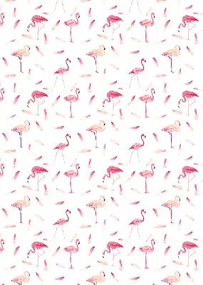 Vidiniai užtemdantys langų roletai Flamingos ir jų plunksnos