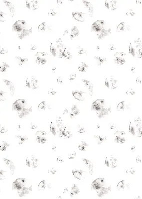 Užtemdantys roletai langams Planetos