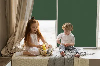Vidiniai užtemdantys roletai langams Žalia