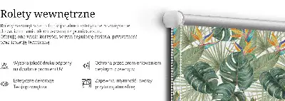 Vidiniai užtemdantys roletai Tropiniai augalai