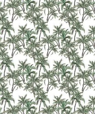 Vidiniai užtemdantys langų roletai Palmės