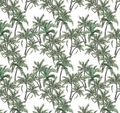 Vidiniai užtemdantys langų roletai Palmės