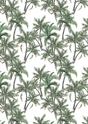 Vidiniai užtemdantys langų roletai Palmės