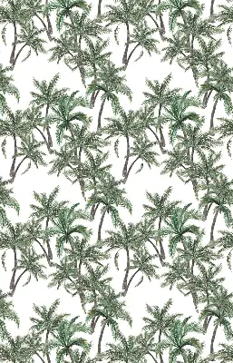 Vidiniai užtemdantys langų roletai Palmės