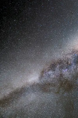 Vidiniai užtemdantys langų roletai Paukščių Takas