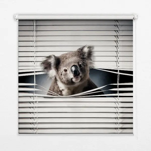Užtemdantys roletai langams Koala