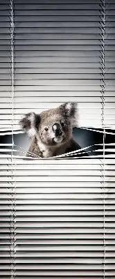 Užtemdantys roletai langams Koala