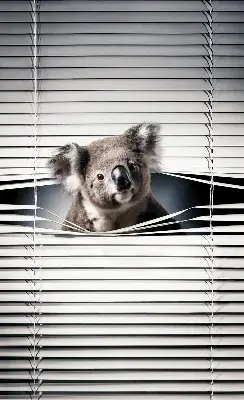 Užtemdantys roletai langams Koala