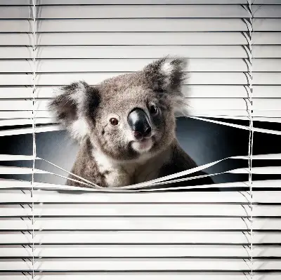 Užtemdantys roletai langams Koala