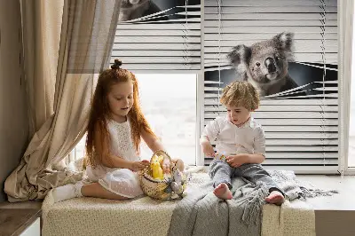 Užtemdantys roletai langams Koala