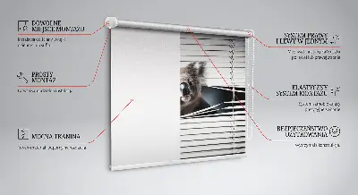 Užtemdantys roletai langams Koala