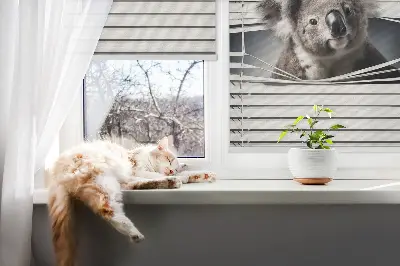 Užtemdantys roletai langams Koala