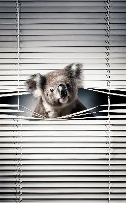 Užtemdantys roletai langams Koala