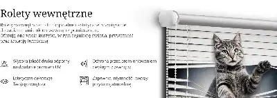 Vidiniai užtemdantys roletai Katė