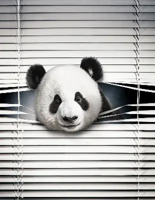 Vidiniai užtemdantys roletai langams Panda