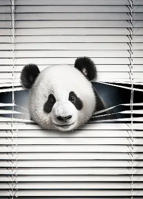 Vidiniai užtemdantys roletai langams Panda