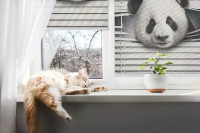 Vidiniai užtemdantys roletai langams Panda
