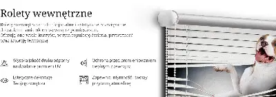 Užtemdantys roletai langams Šuo