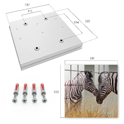 Raktų dėžutė Zebrai kartu