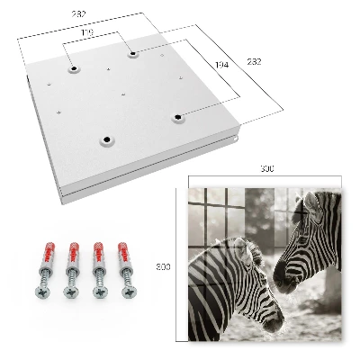 Raktų dėžutė Zebrai kartu