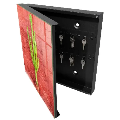 Raktų spintelė Žalias kaktusas