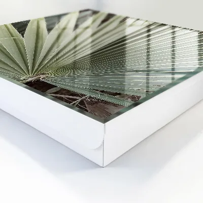 Raktų dėžutė Palmės lapas