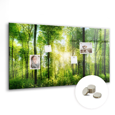 Magnetinė lenta Gamtos miško medžiai