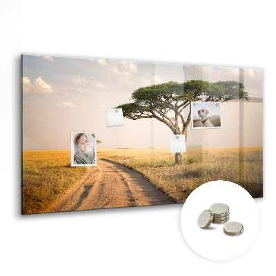Magnetinė lenta prie sienos Afrikos peizažas