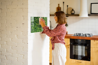 Magnetinė lenta Miškas iš paukščio skrydžio