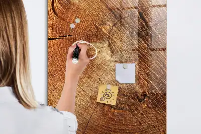 Magnetinė lenta su rašikliu Medžio kamieno skerspjūvis
