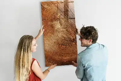 Magnetinė lenta su rašikliu Medžio kamieno skerspjūvis