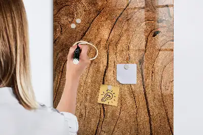Magnetinė piešimo lenta Senas medis