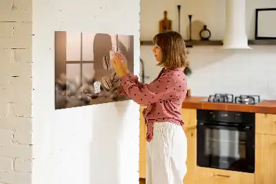 Magnetinė lenta sauso valymo