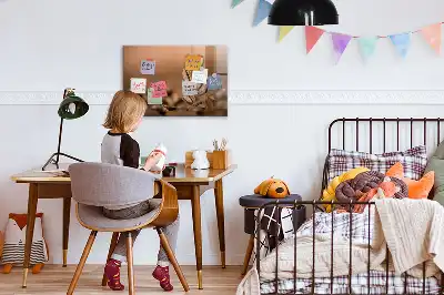 Magnetinė lenta sauso valymo