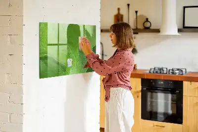 Magnetinė sauso valymo lenta šiuolaikinių bangų dizaino