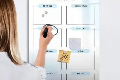 Magnetinė sauso valymo lenta kredinė