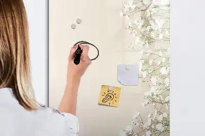 Magnetinė sauso valymo lenta subtilios gėlės