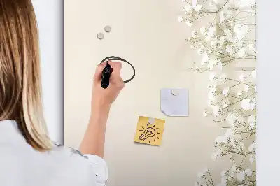 Magnetinė sauso valymo lenta subtilios gėlės