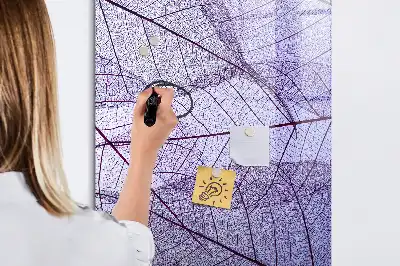 Sauso valymo magnetinė lenta su lapo struktūra