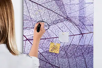 Sauso valymo magnetinė lenta su lapo struktūra