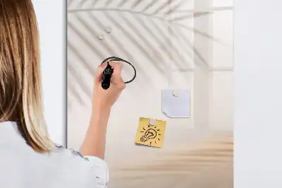 Magnetinė sauso valymo lenta palmės lapo šešėlio rašto