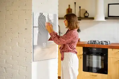 Magnetinė sauso valymo lenta palmės lapo šešėlio rašto