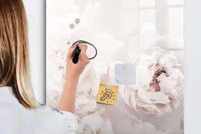 Magnetinė sauso valymo lenta su bijūnų dizainu