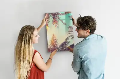 Magnetinė sauso valymo lenta tropinė palmė