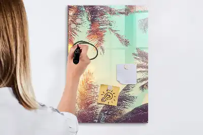 Magnetinė sauso valymo lenta tropinė palmė