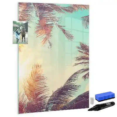Magnetinė sauso valymo lenta tropinė palmė